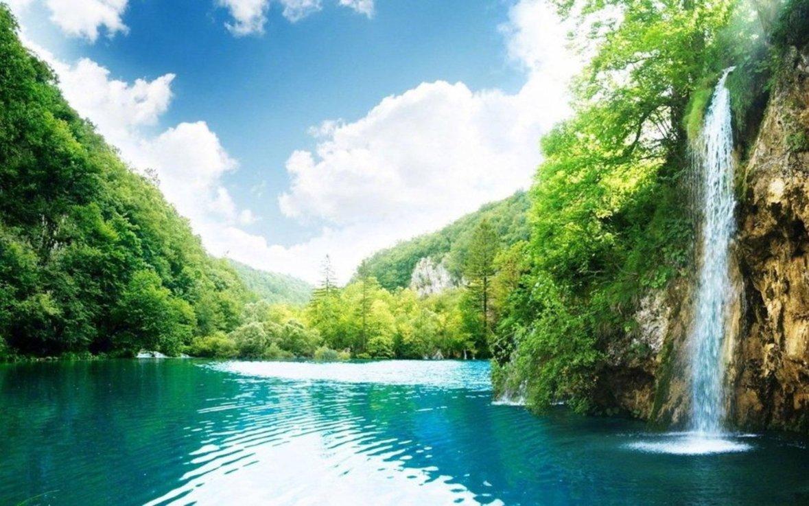 沪江开心词场